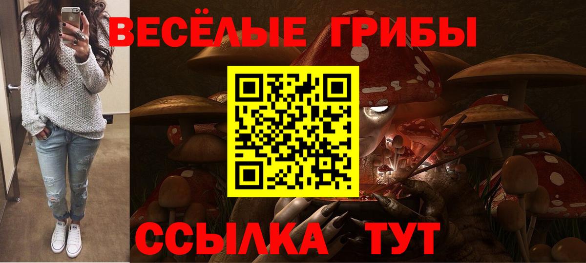 Псилоцибиновые грибы мицелий  Псилоцибиновые грибы Cubensis  Электросталь  наркошоп  Вход с VPN 